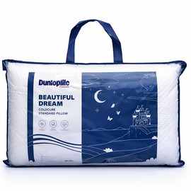 Beautiful Dream Coldcure Standard Pillow