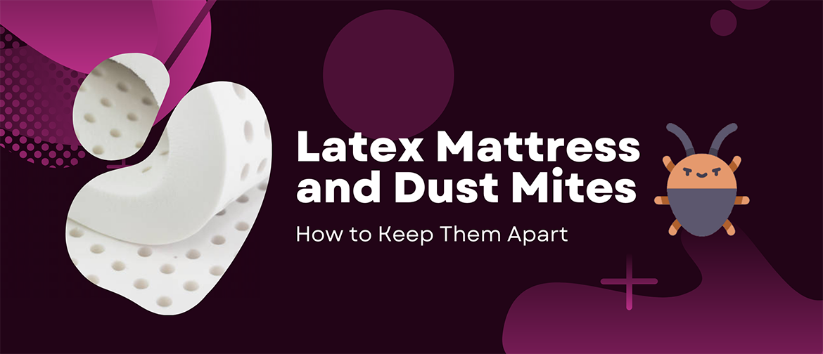 Latex Mattress and Dust Mites: How to Keep Them Apart