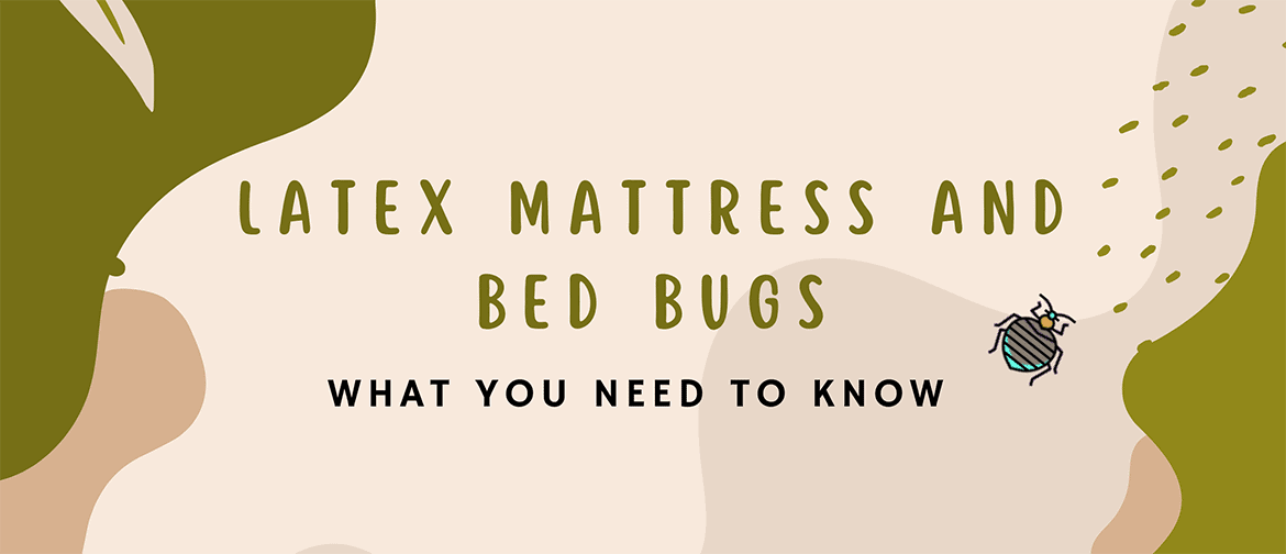 Latex Mattress and Bed Bugs – What You Need to Know